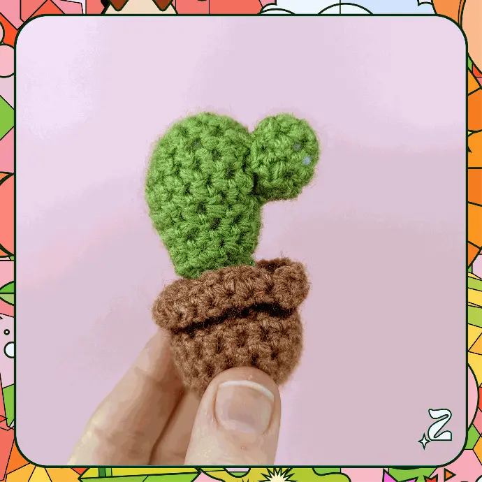 Mini cactus - Thimble Cactus